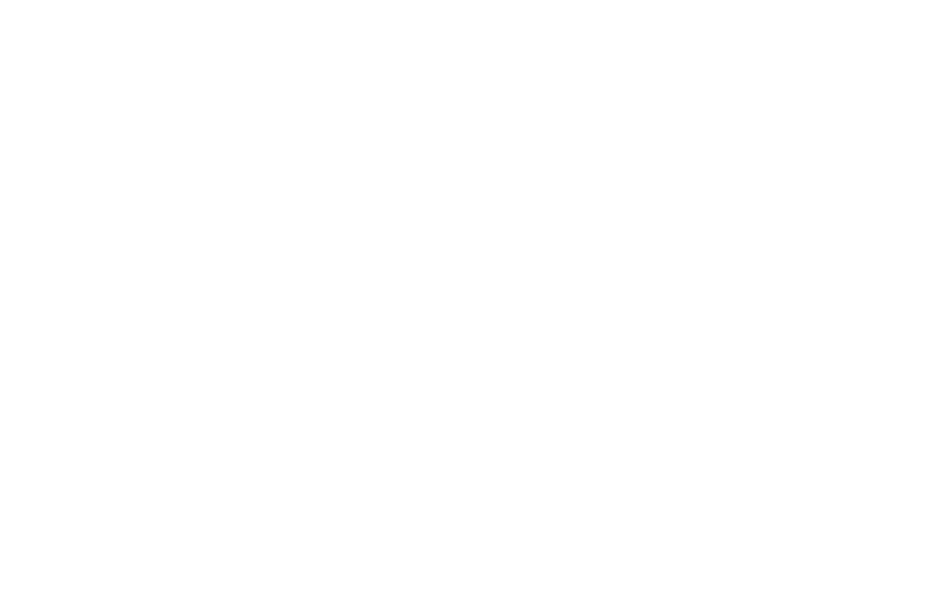 Bortistu