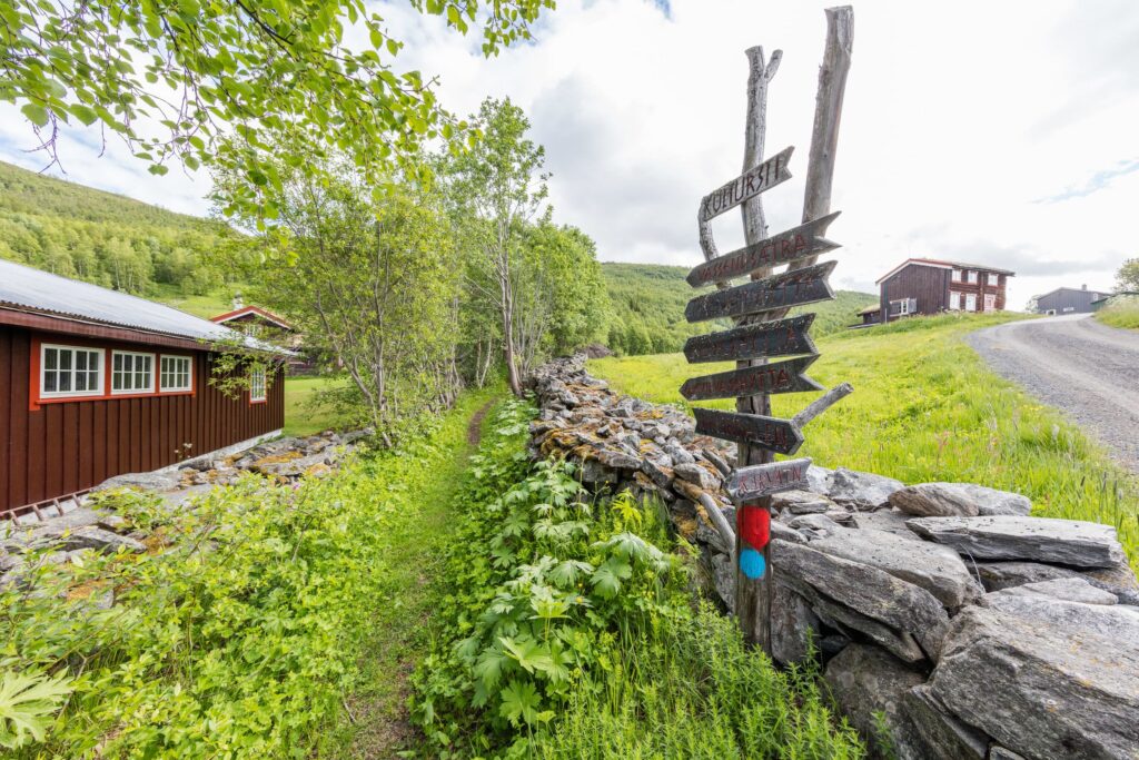 Bortistu-oppdal-norge-fotoknoff-sven-erik-knoff-5448-min