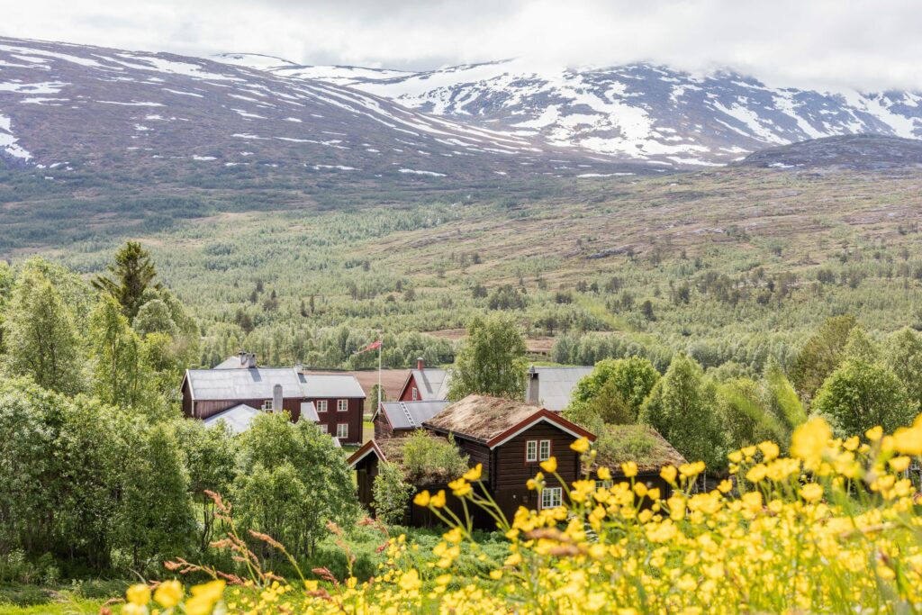 Bortistu-oppdal-norge-fotoknoff-sven-erik-knoff-5781-min